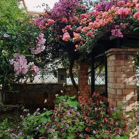 Veneto'S Garden Appartement Kardhamili Buitenkant foto