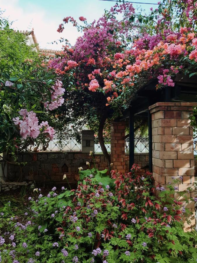 Veneto'S Garden Appartement Kardhamili Buitenkant foto